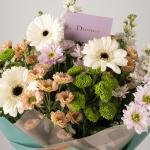 صفاء الزمرد