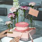 Blush Romance Indulgence