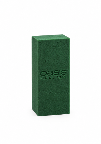 Oasis Foam