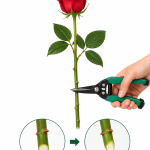GREENLAWN Garden Shears