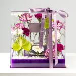 The Imperial Violet Box