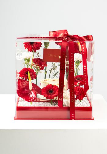 Red Velvet Luxury Box