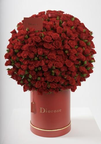Dana – Famous Hot Sale: Spray Roses in a Box