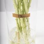 Matthiola in Clear Vase