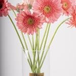 Pink Gerbera in Clear Vase