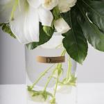 زهور دلفينيوم أنيقة