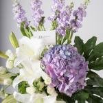 Hydrangea and Purple Matthiola