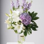 Hydrangea and Purple Matthiola