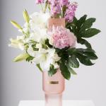 هيدرانجيا مع ماتشيولا ساحرة