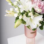 هيدرانجيا مع ماتشيولا ساحرة