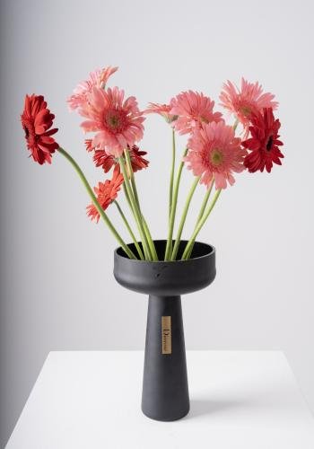 Gerbera Radiance in Black Elegance