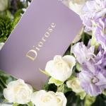 باقة يد من ماتشيولا بنفسجية، ورود سبراي بيضاء، وأزهار خضراء