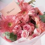 Gerbera Baby Rose Bliss