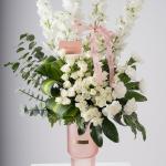 أناقة متفتحة