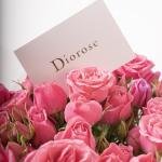 باقة ورود سبراي بلون وردي ناعم ورقيق