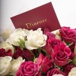 باقة ورود سبراي بلون الأحمر المخملي