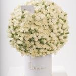 Dana – Famous Hot Sale: Spray Roses in a Box