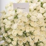 Dana – Famous Hot Sale: Spray Roses in a Box