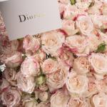 Dana – Famous Hot Sale: Spray Roses in a Box