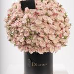 Dana – Famous Hot Sale: Spray Roses in a Box