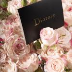 Dana – Famous Hot Sale: Spray Roses in a Box