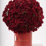 Dana – Famous Hot Sale: Spray Roses in a Box