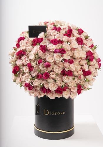 Dana – Famous Hot Sale: Spray Roses in a Box