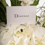 Gold Vase with Hydrangea & Luxe Florals