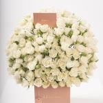 دانة – ورود سبراي في صندوق فاخر