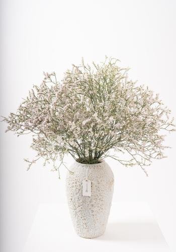 Limonium in White Textured Ceramic Vase