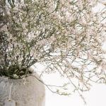 Limonium in White Textured Ceramic Vase