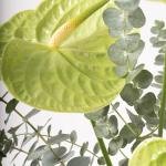 Ceramic Vase with Green Anthurium & Eucalyptus