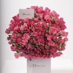 Dana – Famous Hot Sale: Spray Roses in a Box