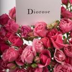 Dana – Famous Hot Sale: Spray Roses in a Box