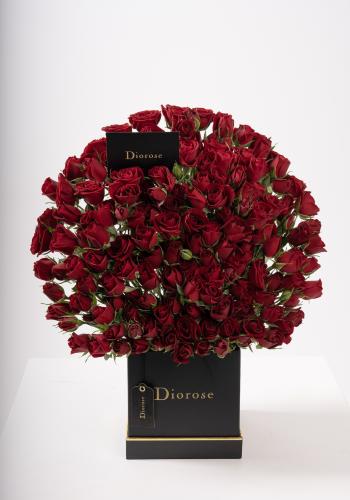 Dana – Famous Hot Sale: Spray Roses in a Box
