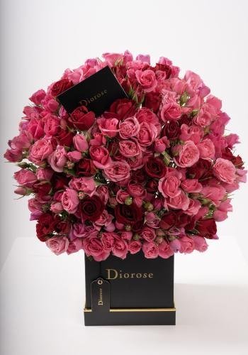 Dana – Famous Hot Sale: Spray Roses in a Box