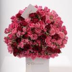 Dana – Famous Hot Sale: Spray Roses in a Box