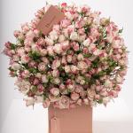 Dana – Famous Hot Sale: Spray Roses in a Box