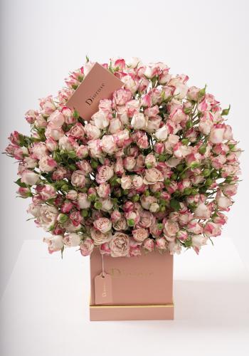 Dana – Famous Hot Sale: Spray Roses in a Box