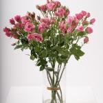 سحر ورود السبراي