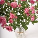 سحر ورود السبراي