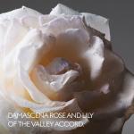 عطر جوتشي ألكيميست جاردن تيرز فروم ذا مون