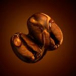 Hugo Boss The Scent for Her EDP Intense