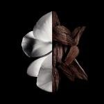 Givenchy Gentleman EDP Boisée 100ml