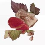 Hermes L’Ambre Des Mervelles EDP 100ml