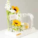 Ivory & Sunshine Luxury Set