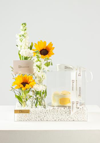 Ivory & Sunshine Luxury Set