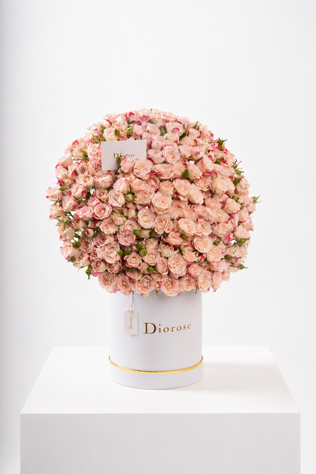 Explore Dana Design